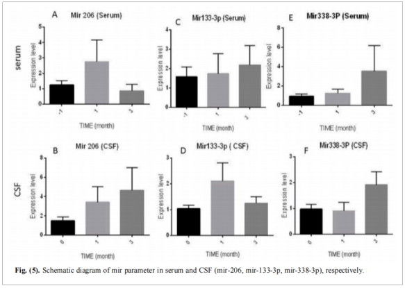 圖3：血清和腦脊液中miRNA參數的示意圖(mir-206、mir-133-3p、mir-338-3p)
