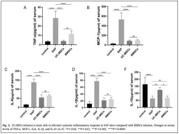 圖2：與BMSCS相比，UC-MSCs的輸注更能緩解SAP小鼠的系統性炎癥反應。