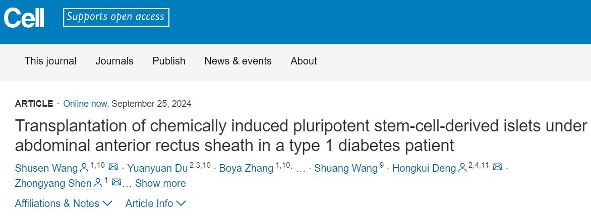 在一名1型糖尿病患者腹部前直肌鞘下移植化學(xué)誘導的多能干細胞來(lái)源胰島