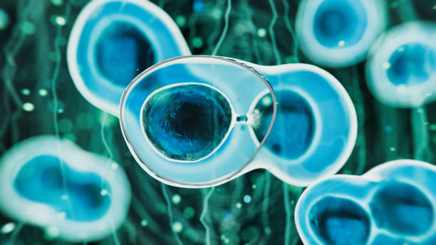 什么是干細胞療法治療腦癱？