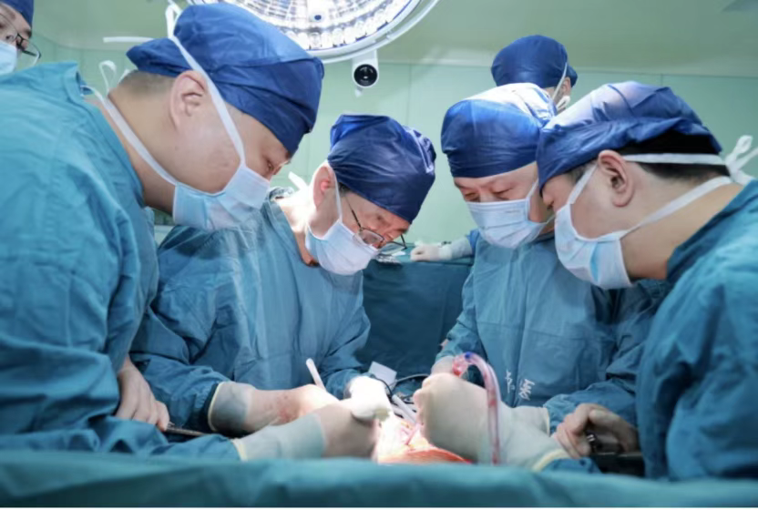 西京醫院肝膽外科竇科峰院士、楊詔旭副教授等為受體移植豬肝