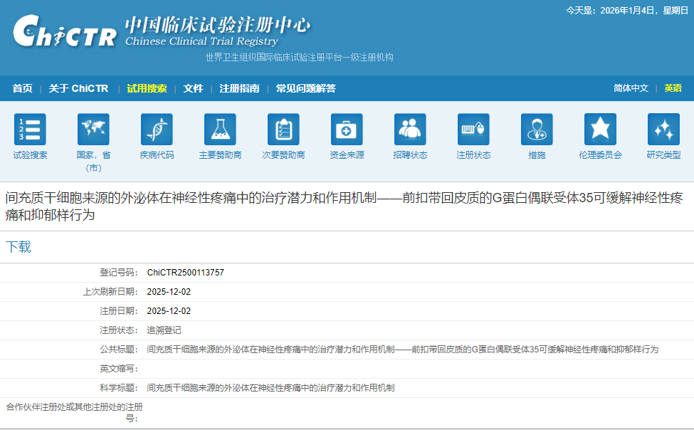 間充質(zhì)干細胞來(lái)源的外泌體在神經(jīng)性疼痛中的治療潛力和作用機制——前扣帶回皮質(zhì)的G蛋白偶聯(lián)受體35可緩解神經(jīng)性疼痛和抑郁樣行為