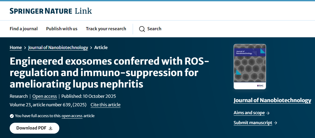 工程化外泌體通過(guò)調節活性氧和免疫抑制作用改善狼瘡性腎炎
