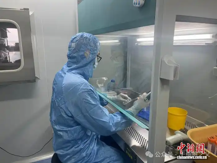 重磅！全球首個(gè)卒中后遺癥與帕金森病細胞治療技術(shù)在中國獲批