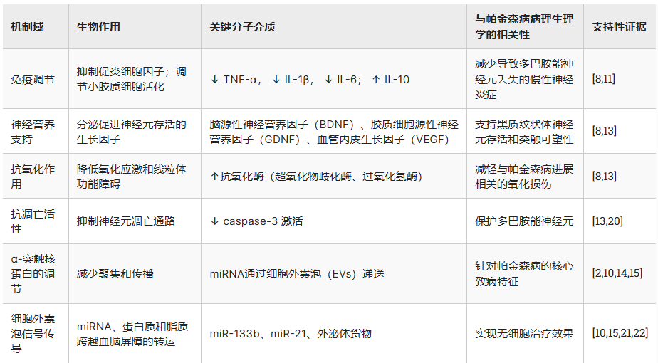 表1：間充質(zhì)干細胞/基質(zhì)細胞（MSC）治療帕金森?。≒D）的可能機制