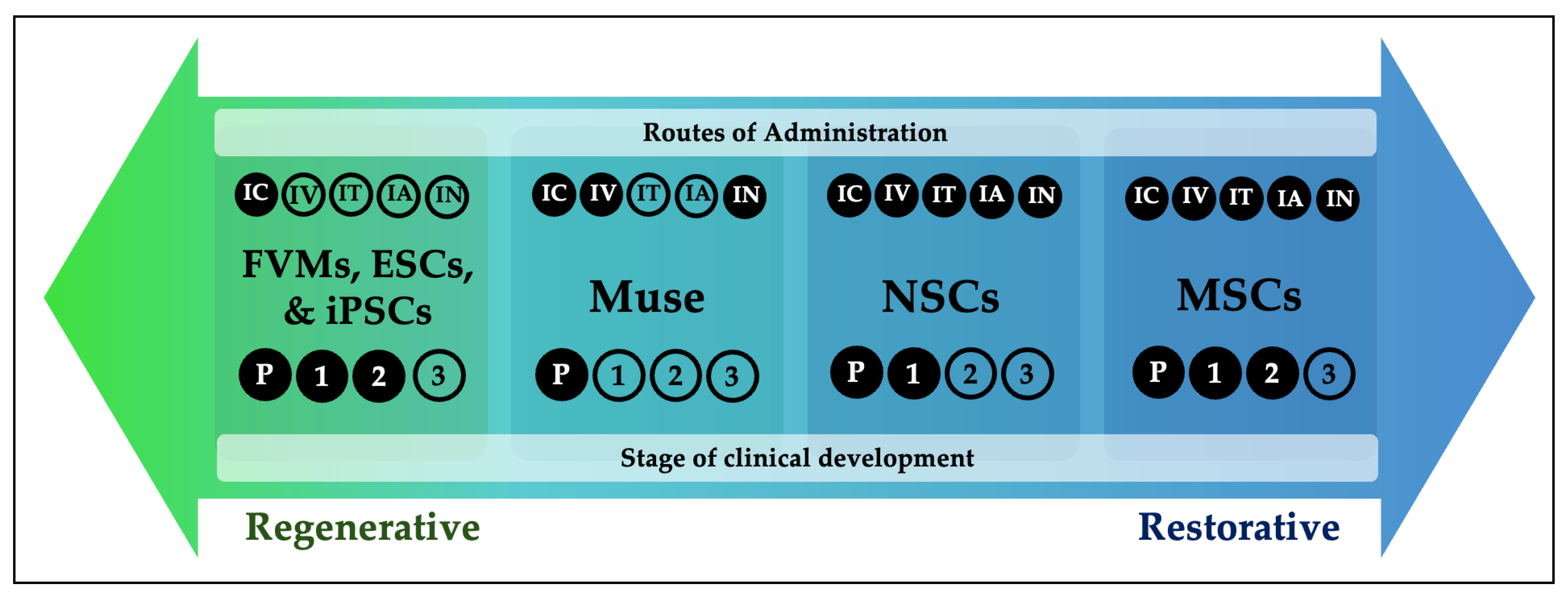 圖1：帕金森病干細胞療法的再生-修復概念連續體。帕金森病干細胞療法的概念可以理解為一個(gè)從以再生為主到以修復為主的連續體。圖中展示了每種細胞類(lèi)型的給藥途徑和臨床開(kāi)發(fā)階段。